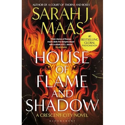 Offerta a tempo: House of Flame and Shadow: The INTERNATIONAL BESTSELLER and the smouldering third book in the Crescent City series, from the creator of ACOTAR: 3 - 73% da 21.92 € a 6.00 €