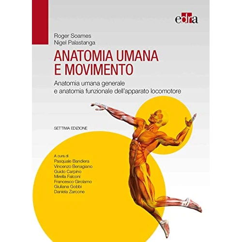 Limited-time offer: Anatomia umana e movimento. Anatomia umana generale e anatomia funzionale dell'apparato locomotore from 66.65 £ to 66.65 £ (save 0.00%)