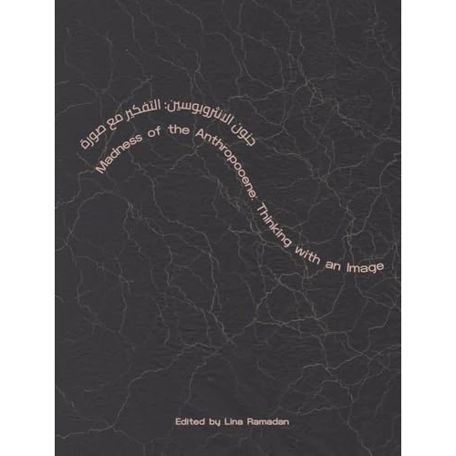 Oferta limitada: Madness of the Anthropocene: Thinking With an Image de 35.75 € a 29.89 € (ahorro 16%)