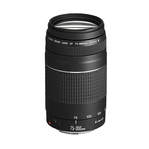 Limited-time offer: Canon Black, EF 75 - 300 mm f/4.0 - 5.6 III Filter Size 58 mm Zoom Lens (Not USM), 6 cm from 239.00 GBP to 239.00 GBP (save 0%)