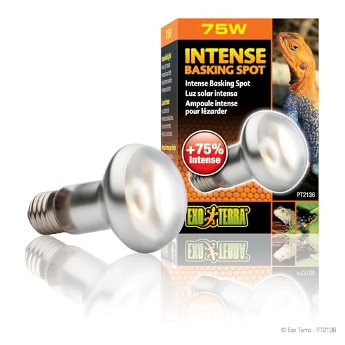 Limited-time offer: Exo Terra Intense Basking Spot Lamp, 75 W from 6.07 GBP to 6.07 GBP (save 0%)