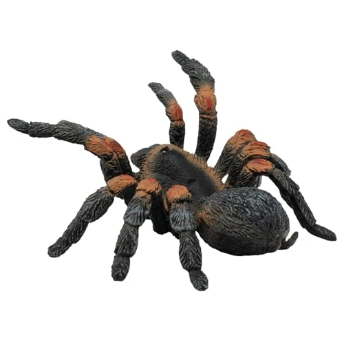 Zeitlich begrenztes Angebot: Bullyland Rotknie Vogelspinne Spielzeug Figur für Kinder ab 3 Jahren von 9.03 € auf 9.03 € (0.00% Rabatt)