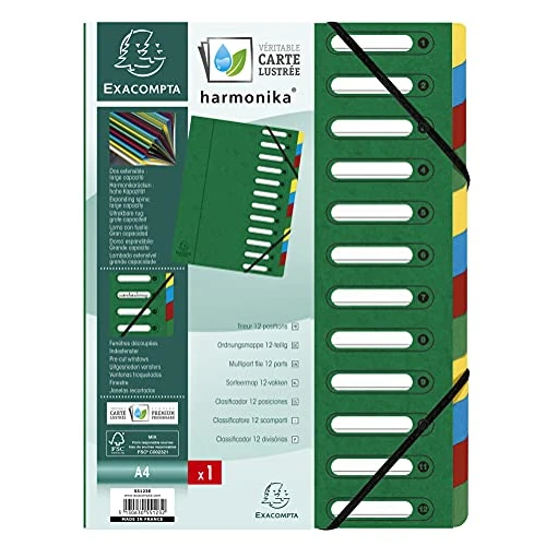 Exacompta - Ref. 55123E - 1 Sorteermap HARMONIKA - met elastieken en uitgesneden vensters - Omslag in glanskarton - uitbreidbare rug - 12 vakken - voor A4 - afmeting 24,5 x 32cm - Kleur: groen