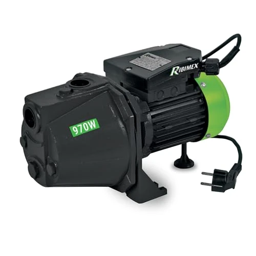 Oferta limitada: Ribiland PRJET101 Bomba de agua de superficie, verde, 970 W de 84.90 € a 84.90 € (ahorro 0.00%)