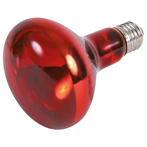 Limited offer: Trixie Infrared Heat Spot Lamp, 150 Watt, 95 x 130 mm from 16.99 USD to 15.19 USD (save 11%)