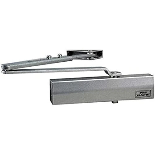 BURG-WÄCHTER Chiudiporta per porte interne, Meccanismo idraulico, Regolabile, Larghezza fino a 110 cm, Peso fino a 80 kg, TS 504 S, argento