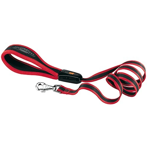 Offre limitée : Ferplast Laisse pour Chien en Nylon ERGOCOMFORT, Poignée Ergonomique, Rembourrage Doux, Longueur 120 cm x 2,5 cm, Rouge de 23.05 EUR à 23.05 EUR (remise 0%)