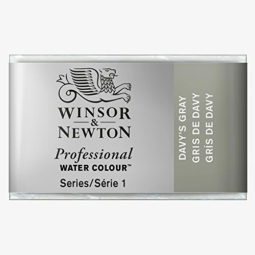 Winsor & Newton Professional Water Colour Paint Whole Pan, Davy'S Grey