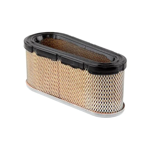 Oferta limitada: Briggs & Stratton Genuine 496894S Air Filter Cartridge de 14.00 € a 14.00 € (ahorro 0.00%)
