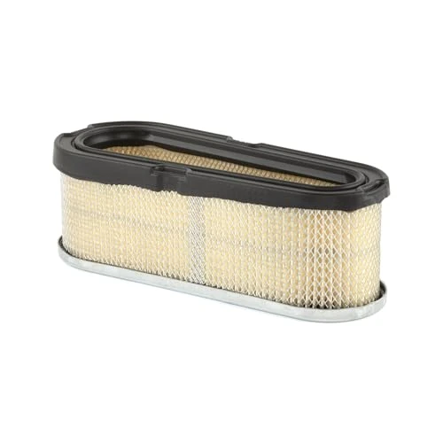 Offerta a tempo: Briggs & Stratton Cartuccia Filtro dell’Aria Originale 691667 Briggs And Stratton - 0.00% da 33.50 € a 33.50 €