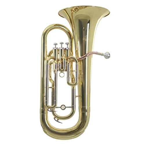 Roy Benson Bb-Euphonium EP-301 (Professioneel blaasinstrument, met goud messing leadpipe, nikkel zilveren buiten schuiven, roestvrij stalen ventielen, met comfortabel gevormde koffer)