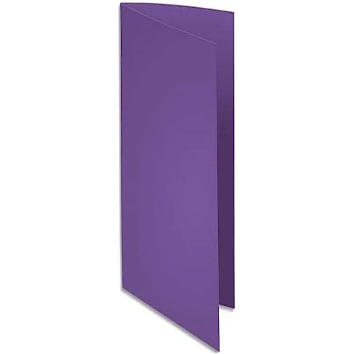 Tijdelijke aanbieding: Exacompta - ref. 800008E - Set van 100 felgekleurde inlegmappen - ROCK''S - 80 g/m2 - in PEFC™ - gecertificeerde mappen- Afmetingen: 22 x 31 cm for A4 format - colour purple van 14.51 € naar 14.51 € (0.00% korting)
