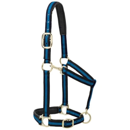 Weaver Leather Cavezza imbottita regolabile in nylon, blu, 2,5 cm, cavallo grande