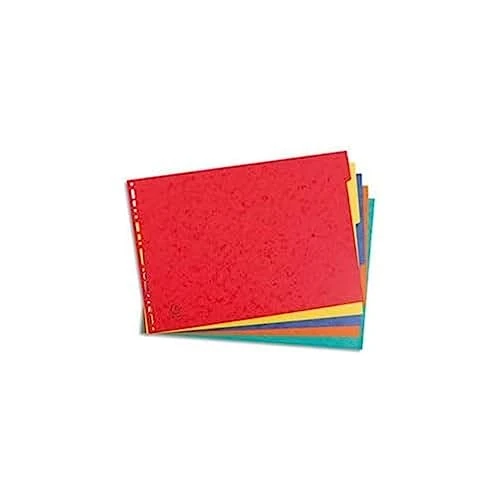 Offerta a tempo: Exacompta 2905E Divisori e Segnaletica, 43 x 29.70 x 0.40 cm - 0.00% da 7.43 € a 7.43 €