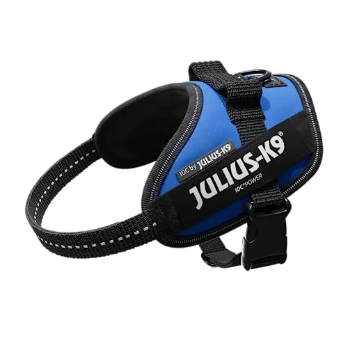 Limited offer: Julius-K9, 16IDC-B-MM, IDC Powerharness, Dog Harness, Size: Mini-Mini, Blue from 54.93 EUR to 49.99 EUR (save 9%)