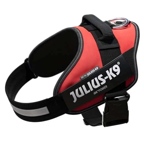 Julius-K9 IDC Powerharness, Red, L/1