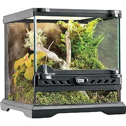 Offerta a tempo: Exo Terra - Micro terrario in vetro con ambientazione per rettili, dimensioni 20 x 20 x 20 cm - 0.00% da 67.90 € a 67.90 €