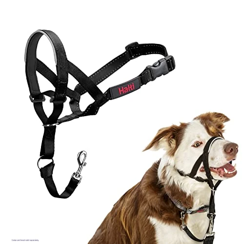 Zeitlich begrenztes Angebot: Halti Kopfgeschirr für Hunde | Größe 2, Schwarz von 21.99 € auf 15.80 € (28% Rabatt)