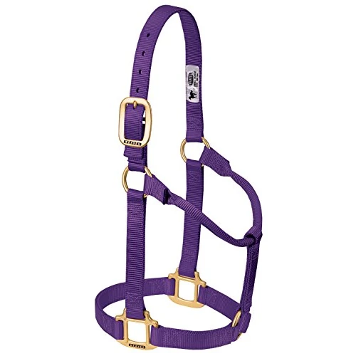 Limited offer: Weaver Equine Nylon Horse Halter, Triple-Ply Cheek Design, Original Non Adjustable Halters for Horses, Equine Tack,Average Size, Black from 19.98 EUR to 19.98 EUR (save 0%)