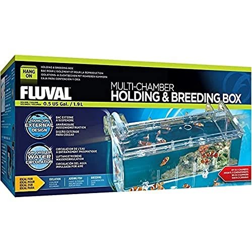 Begrenztes Angebot: Fluval Hang-On Aufzuchtbecken L, mit 1,9L Fassungsvermögen, für Fische, fürs Aquarium von 17.99 EUR auf 17.99 EUR (Rabatt 0%)