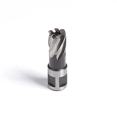 Offerta a tempo: Evolution (12S) 12 x 25 mm Fresa carotatrice - Taglia più velocemente e per una maggiore durata - Compatibile praticamente con ogni tipo di trapano magnetico - 0.00% da 21.86 € a 21.86 €