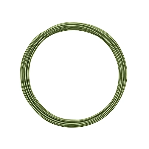 Offerta a tempo: Vaessen Creative Filo di Ferro Modellabile da 5 m x 1,5 mm Apple Green – Filo Flessibile per Creazioni Floreali, Realizzazione di Gioielli e Modellismo - 95.48% da 44.01 € a 1.99 €