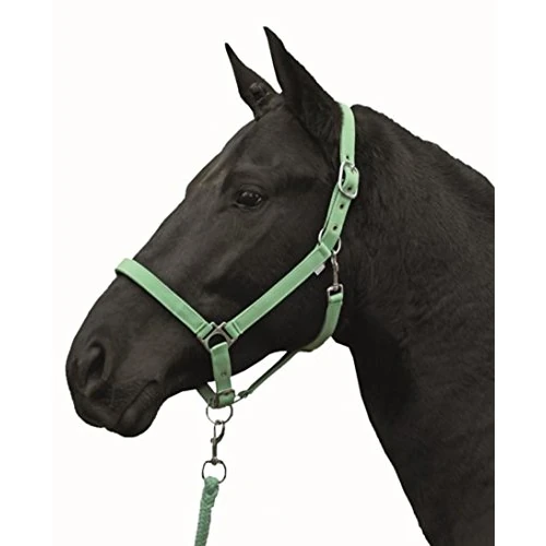 Oferta limitada: HKM Stars Funda Reen Warmblut de 6.95 € a 6.95 € (ahorro 0.00%)