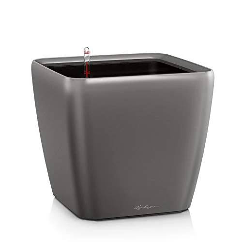 Limited-time offer: Lechuza Quadro LS 21 Charcoal Metallic, Self-Watering Square Planter, H7.9 L8.3 W8.3 in from $67.99 to $67.99 (save 0.00%)