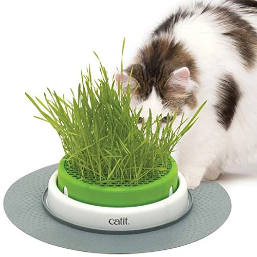 Offerta a tempo: Catit Senses Grass Planter - Vaso per Erba - 0.00% da 30.56 € a 30.56 €