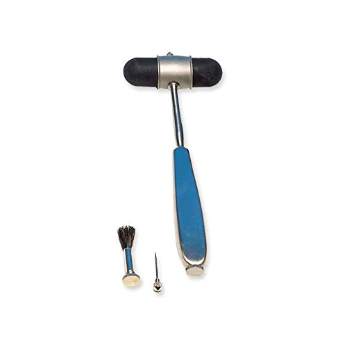 Zeitlich begrenztes Angebot: Gima - Latex-freier Neurohammer, Dejerine Classic, mit Edelstahlgriff, Nadel und Agesimeter, 31254 von 17.36 € auf 17.36 € (0.00% Rabatt)