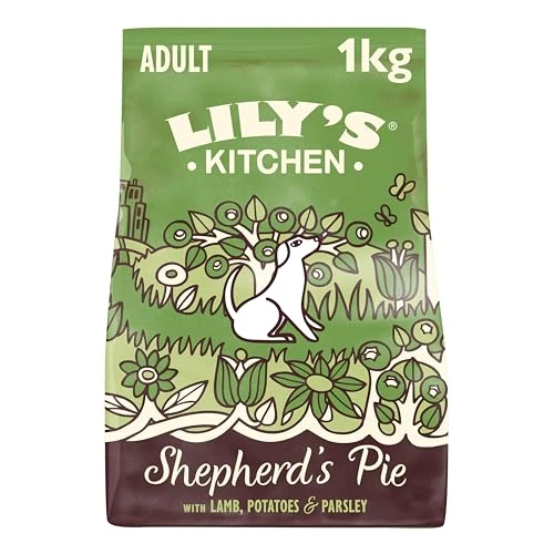 Limited-time offer: Lily's Kitchen Natural Grain Free Complete Adult Dry Dog Food - Lamb Shepherd's Pie, 1 kg from 9.40 £ to 7.30 £ (save 22%)