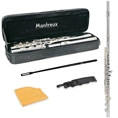 Offerta a tempo: Montreux Sonata FLE701 Flauto Studente Traverso - 0.00% da 136.12 € a 136.12 €