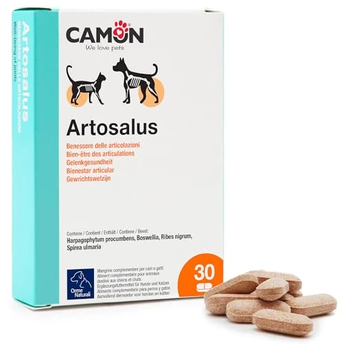 Oferta limitada: Camon - Artosalus - G876/A Envase 30 Comprimidos de 21.30 € a 21.30 € (ahorro 0.00%)