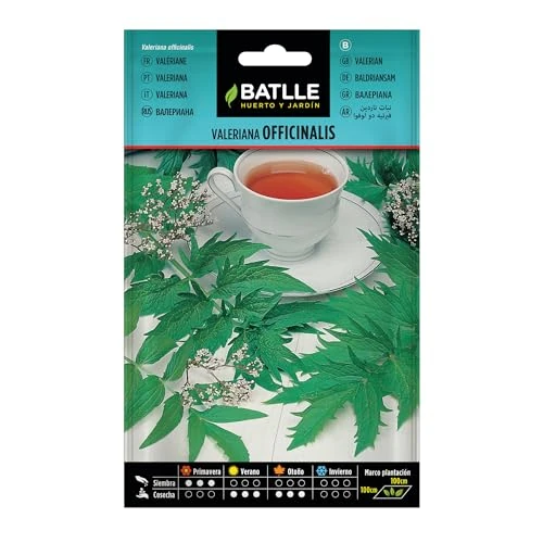 Offerta a tempo: Semi di erbe di Batlle - Valerian Officinalis (Seeds - 100cm) - 0.00% da 2.36 € a 2.36 €