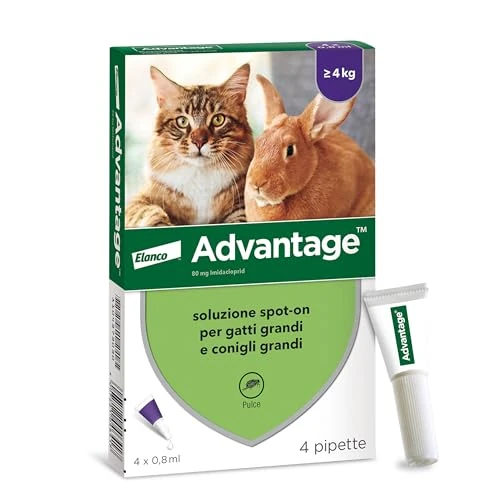 Offre limitee: Advantage Spot-on Solution Anti-puces pour Chats et Lapins, 4 pipettes de 0,8 ML de 29.90 EUR a 29.90 EUR (economie 0%)