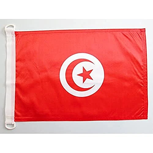 Offre limitée : AZ FLAG Pavillon Tunisie 45x30 cm Tunisien Maille Bloquée Anneaux Plastique de 8.95 € à 8.95 € (0.00% de remise)