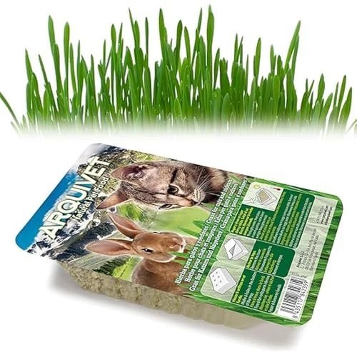 Offerta a tempo: Arquivet Erba per gatti e roditori - Semi per Erba Gatta - Pianta per Gatti - Erba Gatta - Erba Gatto - Erba commestibile per gatti - 100 g - 0.00% da 6.35 € a 6.35 €
