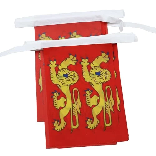 Offerta a tempo: AZ FLAG Ghirlanda 6 Metri 20 Bandiere Bassa Normandia 21x15cm, Bandiera Basse-Normandie In Francia 15 x 21 cm - Festone Bandierine - 0.00% da 13.29 € a 13.29 €