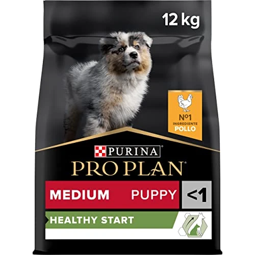 Purina Pro Plan Healthy Start Puppy Medium, Pienso para Perro Mediano, Cachorro, Junior, Bebé, comida seca con Pollo, 1 saco de 12kg