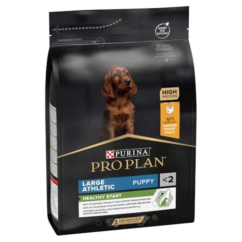 PURINA PRO PLAN | Healthy Start | Croquettes pour Chiot de grande taille de morphotype Athlétique | Renforce les défenses naturelles du chiot | Riche en Poulet | Sac de 3Kg