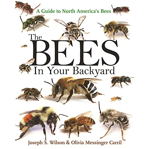 The Bees in Your Backyard: A Guide to North America's Bees (English Edition)
