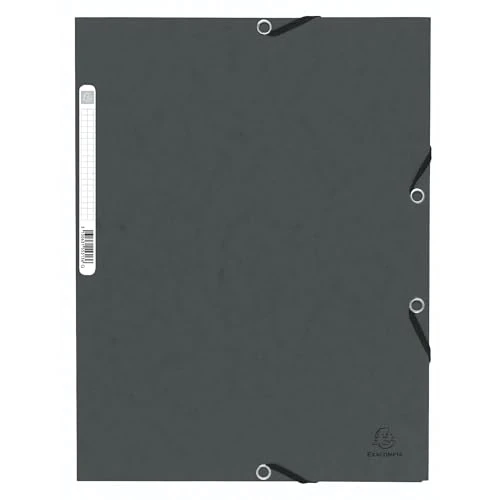 Offerta a tempo: Exacompta 10 cartelline con elastico 3 lembi 355 g/m² grigio - 17% da 9.91 € a 8.22 €