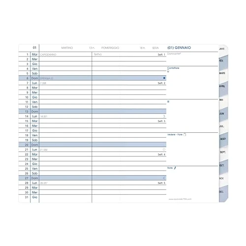 Oferta limitada: Quo Vadis 195006Q - Recambio para agenda mensual con índices, 10 x 15 cm de 7.84 € a 7.84 € (ahorro 0.00%)