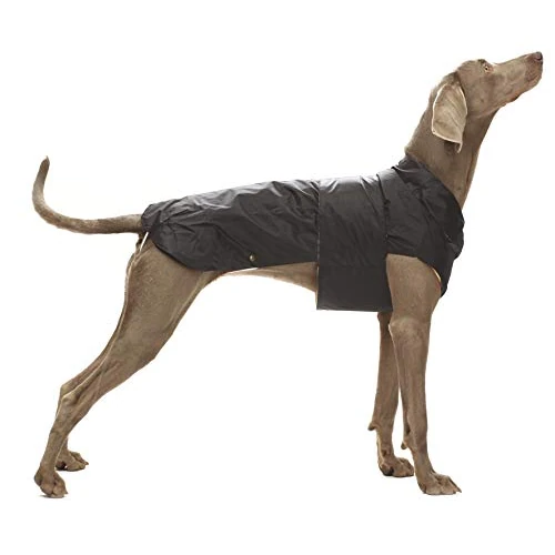 CROCI Montreal Regenbestendige jas, 25 cm, zwart