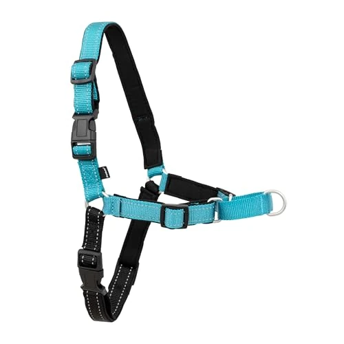 Limited offer: PetSafe Deluxe Easy Walk Harness - Trainer-Trusted Dog Chest Harness with Breathable Martingale Loop Design - Helps Stop Pulling with No Choking & Gagging - Large - Ocean from 26.99 EUR to 26.99 EUR (save 0%)