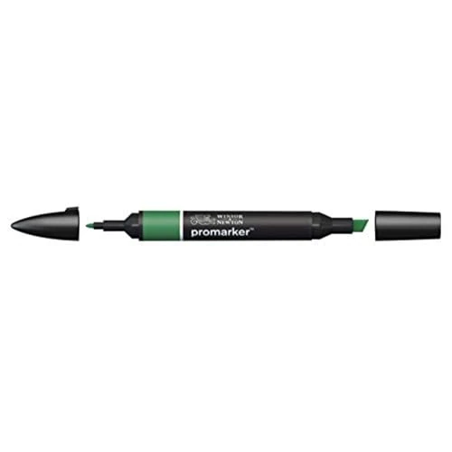 Offerta a tempo: Winsor & Newton 0203244 - Pennarello a Doppia Punta , Verde (Pine), 3.5x19.5x1.4 cm - 0.00% da 4.50 € a 4.50 €