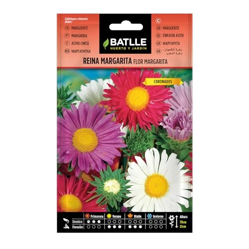 Offerta a tempo: Semillas Batlle Regina Marg. Fiore Margarita - 0.00% da 2.15 € a 2.15 €