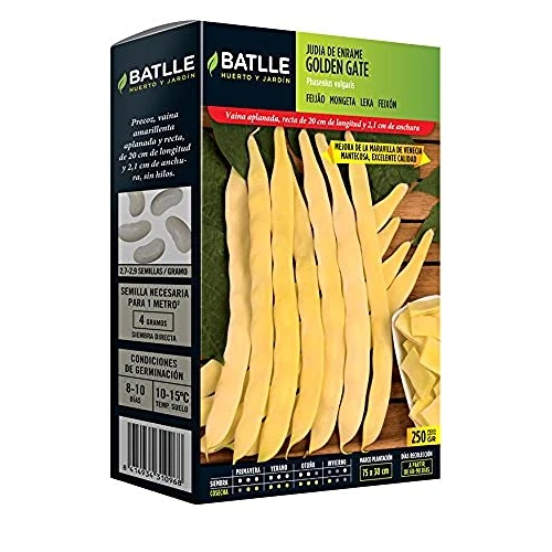 Offerta a tempo: Judia Maravilla Golden Gate - 0.00% da 13.56 € a 13.56 €