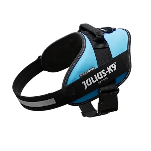 Offerta a tempo: Julius-K9, Pettorina IDC Power, Taglia: XL / 2, Colore: Acquamarina - 36% da 44.19 € a 28.29 €