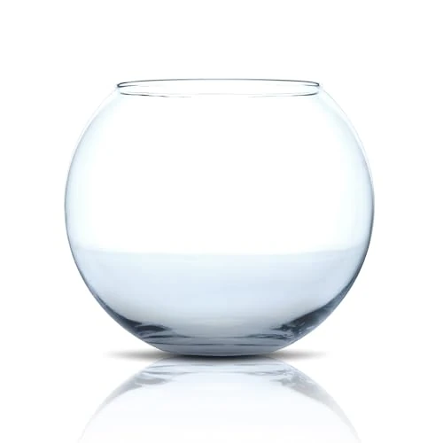 Limited-time offer: Amtra Crystal Globe - Fishbowl in transparent glass, Goldfish Aquarium, hand blown, 30 CM from 25.99 £ to 25.99 £ (save 0.00%)